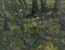 Undergrowth, 1889. Creator: Gogh, Vincent, van (1853-1890)