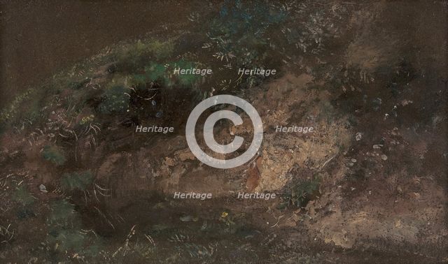 Undergrowth, ca. 1821. Creator: John Constable.