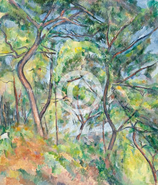 Undergrowth, between 1893 and 1894. Creator: Paul Cezanne.