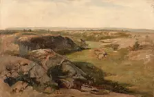 Undulating Country. Study, 1868. Creator: Berndt Lindholm