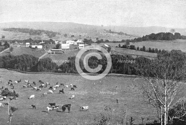 ''Une ferme dans la Nouvelle-Galles du Sud; Les Terres Du Pacifique', 1914. Creator: Unknown.