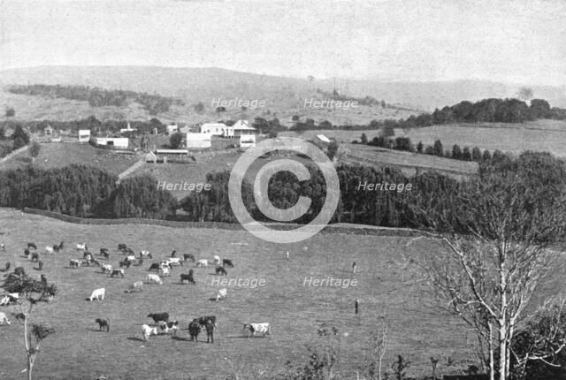 ''Une ferme dans la Nouvelle-Galles du Sud; Les Terres Du Pacifique', 1914. Creator: Unknown.