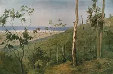 'Une foret d'eucalyptus en Australie (Queensland); Les Terres Du Pacifique 1914. Creator: Unknown