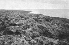 'Une vue des cotes coralliennes de l'Australie; Les Terres Du Pacifique 1914. Creator: Unknown