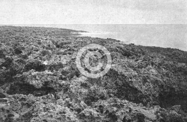 ''Une vue des cotes coralliennes de l'Australie; Les Terres Du Pacifique', 1914. Creator: Unknown.