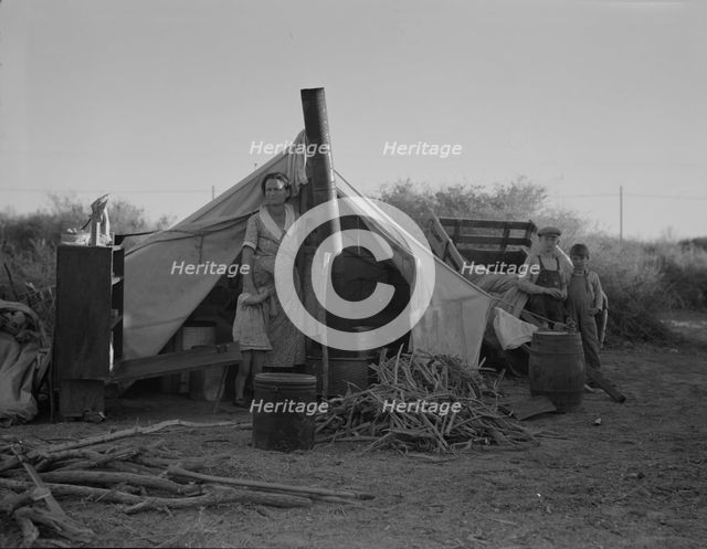 Unemployed family from the Rio Grande Valley, Texas..., near Holtville, California, 1937. Creator: Dorothea Lange.