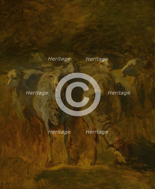 Unfinished Study of Sheep, c. 1850. Creator: Constant Troyon.