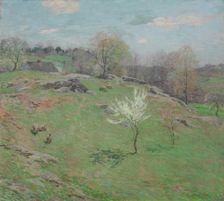 Unfolding Buds, 1909. Creator: Willard Leroy Metcalf