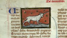 Unicorn (Initial). Liber de natura rerum, 1285-1295. Creator: Anonymous