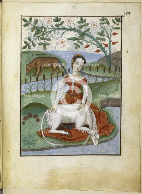 Unicorn. Livre des simples médecines, 16th century. Creator: Anonymous.