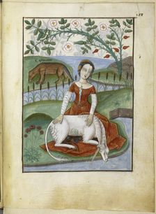 Unicorn. Livre des simples médecines, 16th century. Creator: Anonymous