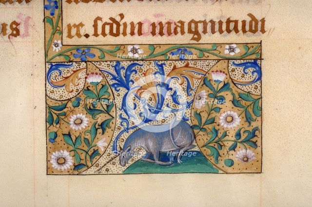 Unicorn (Ornament). Missale Tolosanum, 1400-1449. Creator: Anonymous.