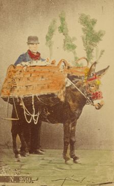 Unidentified man with mule carrying baskets of food, 1870s. Creator: Marittima