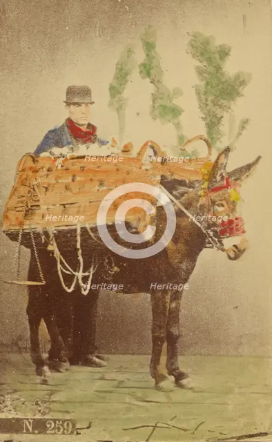 Unidentified man with mule carrying baskets of food, 1870s. Creator: Marittima.