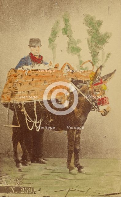 Unidentified man with mule carrying baskets of food, 1870s. Creator: Marittima.