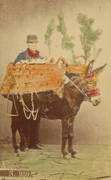 Unidentified man with mule carrying baskets of food, 1870s. Creator: Marittima