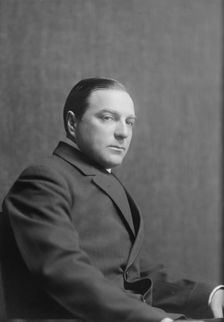Unidentified man, possibly Mr. Jacques Greenberg, portrait photograph, (1917?). Creator: Arnold Genthe