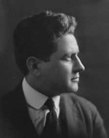 Unidentified man, possibly Mr. Jacques Greenberg, portrait photograph, (1917?). Creator: Arnold Genthe