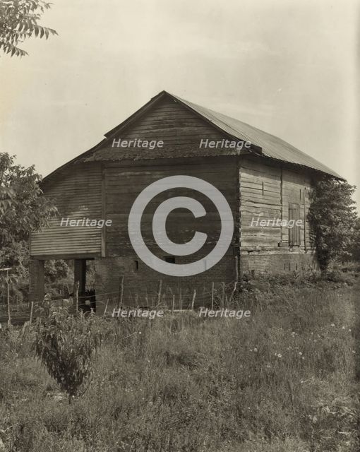 Unidentified cabin, Natchez vic., Adams County, Mississippi, 1938. Creator: Frances Benjamin Johnston.