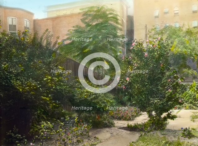 Unidentified city garden, probably in New York, New York, c1922. Creator: Frances Benjamin Johnston.