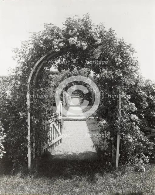 Unidentified garden, between 1910 and 1935. Creator: Frances Benjamin Johnston.