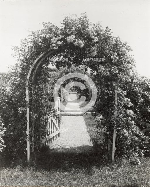 Unidentified garden, between 1910 and 1935. Creator: Frances Benjamin Johnston.