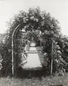 Unidentified garden, between 1910 and 1935. Creator: Frances Benjamin Johnston