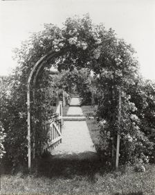 Unidentified garden, between 1910 and 1935. Creator: Frances Benjamin Johnston