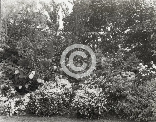 Unidentified garden, between 1910 and 1935. Creator: Frances Benjamin Johnston.