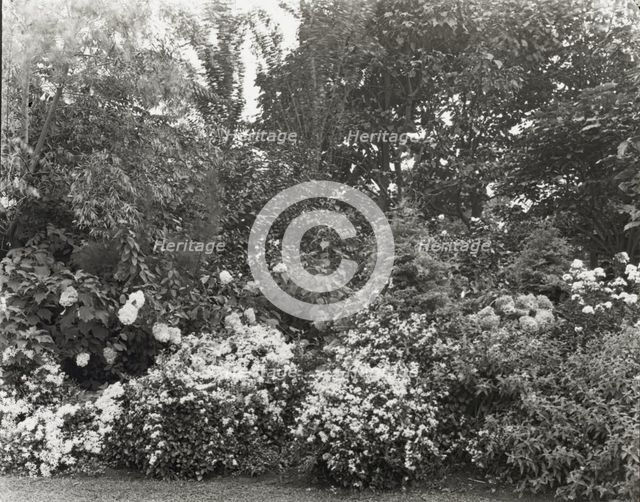 Unidentified garden, between 1910 and 1935. Creator: Frances Benjamin Johnston.