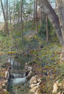 Unidentified garden, c1920. Creator: Frances Benjamin Johnston