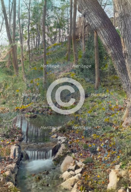 Unidentified garden, c1920. Creator: Frances Benjamin Johnston.