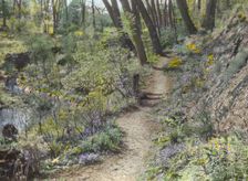 Unidentified garden or park, c1920. Creator: Frances Benjamin Johnston