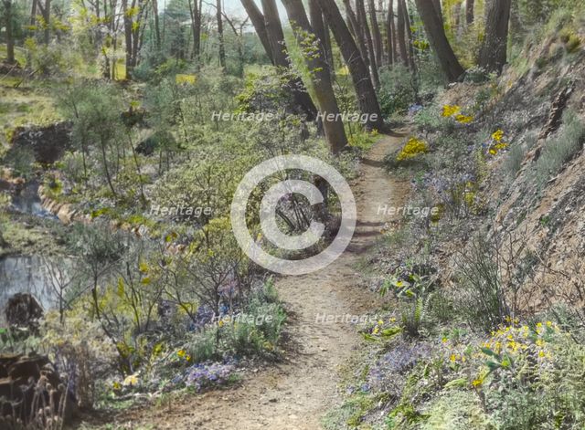 Unidentified garden or park, c1920. Creator: Frances Benjamin Johnston.