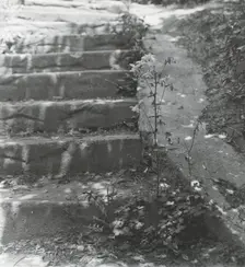 Unidentified house and garden, between 1910 and 1935. Creator: Frances Benjamin Johnston