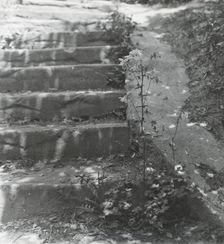Unidentified house and garden, between 1910 and 1935. Creator: Frances Benjamin Johnston