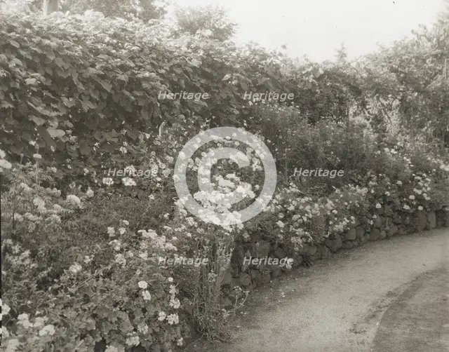 Unidentified house and garden, between 1910 and 1935. Creator: Frances Benjamin Johnston.