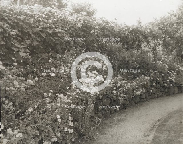 Unidentified house and garden, between 1910 and 1935. Creator: Frances Benjamin Johnston.