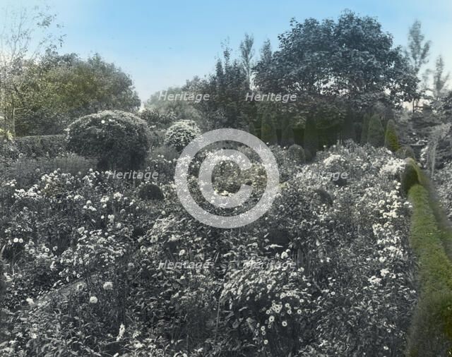 Unidentified house and garden, probably Virginia, between 1910 and 1935. Creator: Frances Benjamin Johnston.