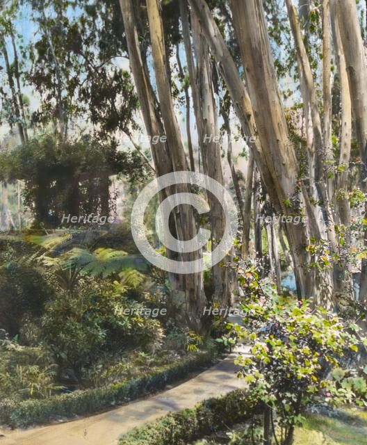 Unidentified house, possibly Pasadena, California, 1917. Creator: Frances Benjamin Johnston.