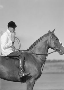 Unidentified person on a horse, between 1911 and 1942. Creator: Arnold Genthe