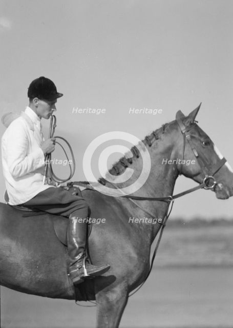 Unidentified person on a horse, between 1911 and 1942. Creator: Arnold Genthe.