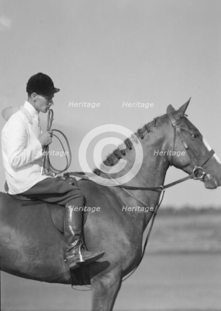 Unidentified person on a horse, between 1911 and 1942. Creator: Arnold Genthe.