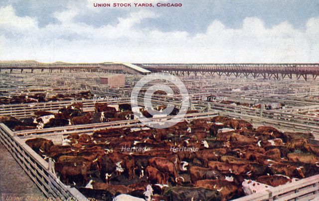 Union Stock Yards, Chicago, Illinois, USA, 1910. Artist: Unknown