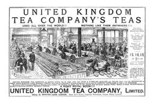 'United Kingdom Tea Company's Teas; One of the Tasting Room's 1890. Creator: Unknown