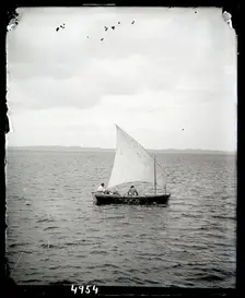 United States Fish Commission Steamer "Albatross" Circumnavigation of South America, 1888. Creator: United States National Museum Photographic Laboratory