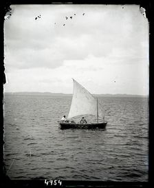 United States Fish Commission Steamer "Albatross" Circumnavigation of South America, 1888. Creator: United States National Museum Photographic Laboratory