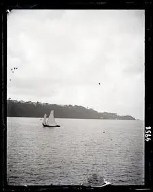 United States Fish Commission Steamer "Albatross" Circumnavigation of South America, 1888. Creator: United States National Museum Photographic Laboratory