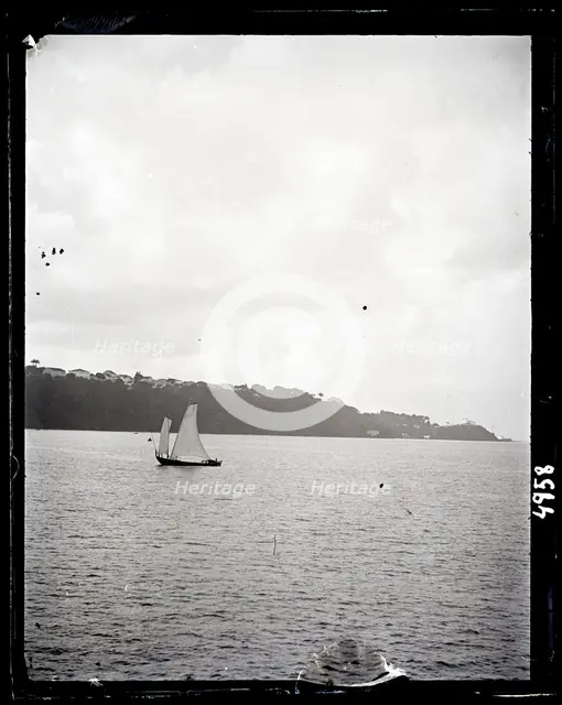 United States Fish Commission Steamer "Albatross" Circumnavigation of South America, 1888. Creator: United States National Museum Photographic Laboratory.