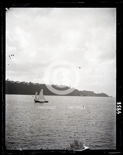 United States Fish Commission Steamer "Albatross" Circumnavigation of South America, 1888. Creator: United States National Museum Photographic Laboratory.